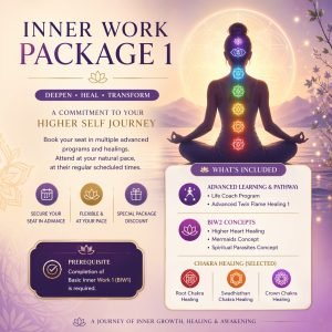 Inner Work Package 1